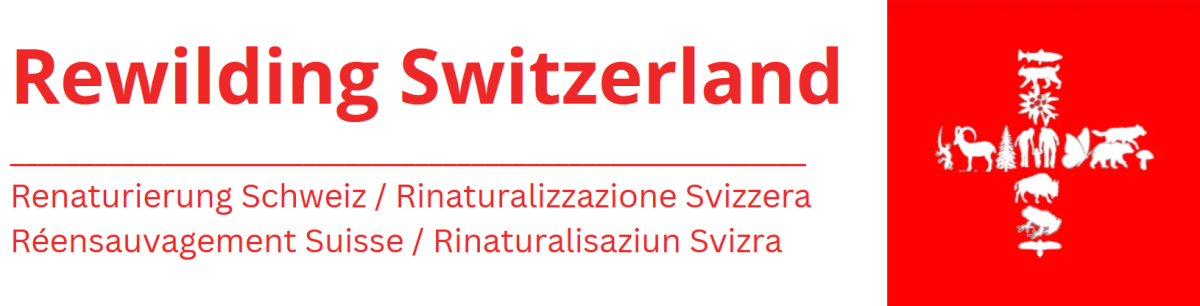 Rewilding Switzerland